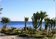 Cheap flights to Malaga Spain from New york